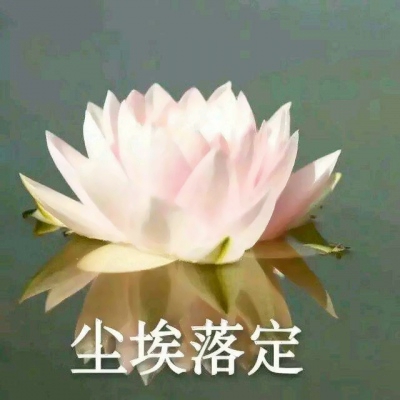 “尘埃落定” 